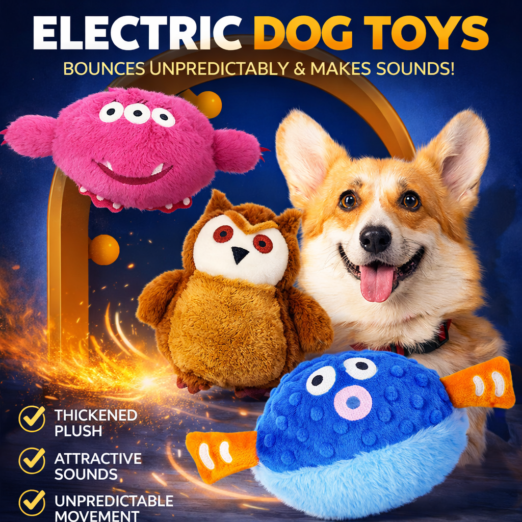 Fanyil™ Zoomigo Smart Interactive Toy