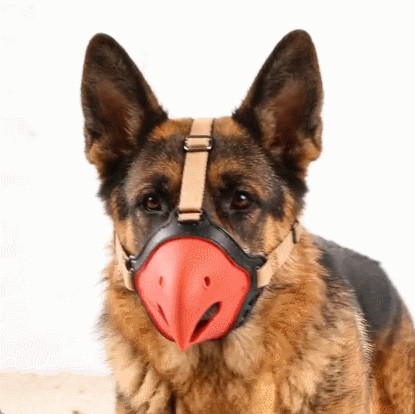 Fanyil™ ParrotBeak Dog Muzzle