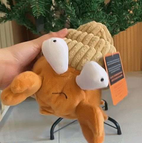 Fanyil™ Zoomigo Intelligent Interaction