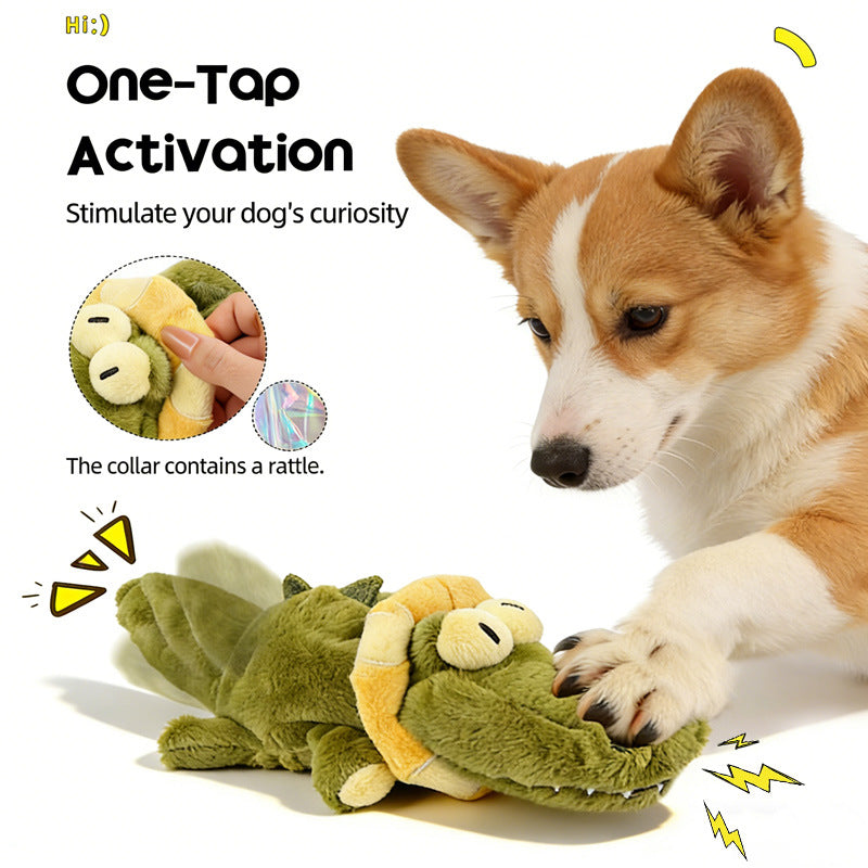 Fanyil™ Zoomigo Intelligent Interaction