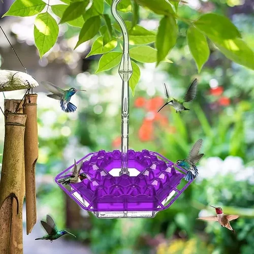 Solelylife Sweety Hummingbird Feeder