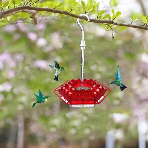 Solelylife Sweety Hummingbird Feeder